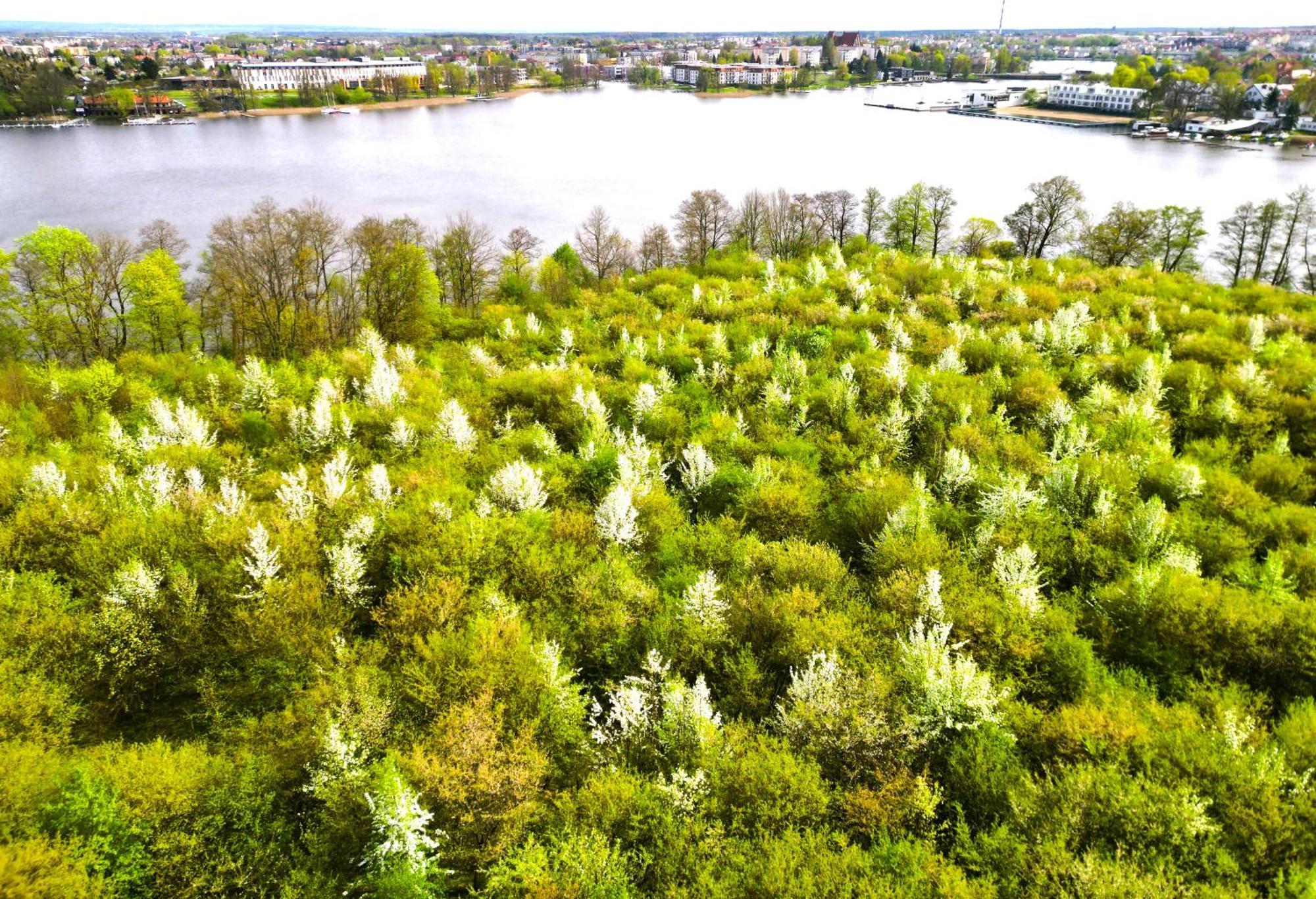 Apartament Marina iława Bagian luar foto